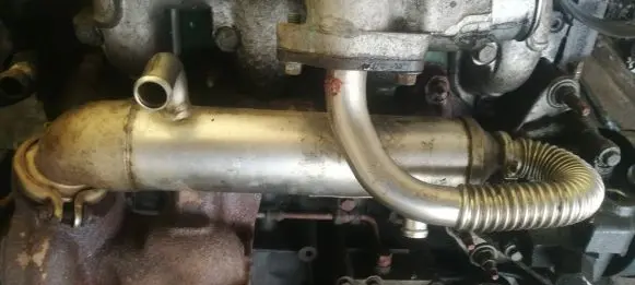Ford Focus EGR valve cooler