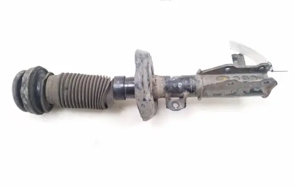 Opel Insignia A Front shock absorber/damper 13245977