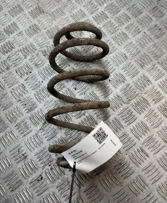 Opel Insignia A Rear coil spring 