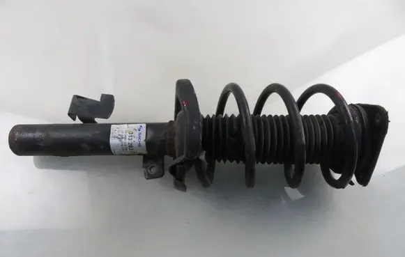 Ford Focus C-MAX Front shock absorber with coil spring 313283