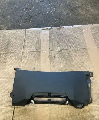 Renault Laguna III Panel trim 1001016