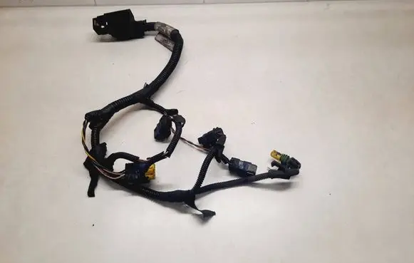 Other wiring loom