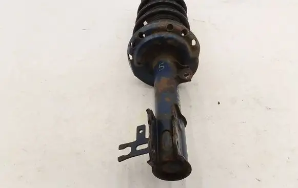 Opel Zafira B Front shock absorber with coil spring 