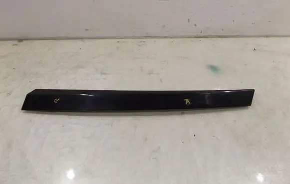 Suzuki Grand Vitara II Rear door glass trim molding