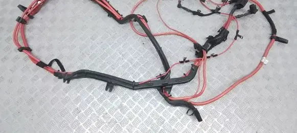 BMW X5 F15 Positive wiring loom 10229011