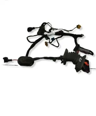 Volkswagen Golf VI Front door wiring loom 1K9971120BG