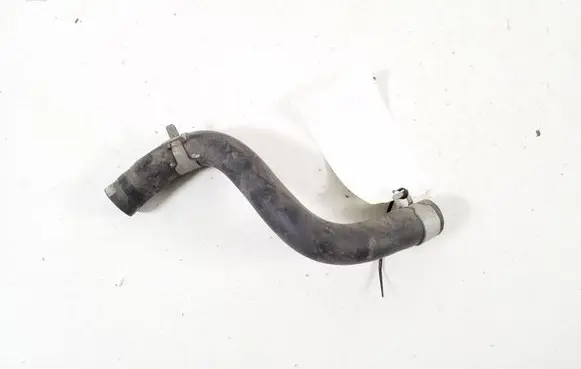 Hyundai Ioniq Air intake hose/pipe 25450G7020