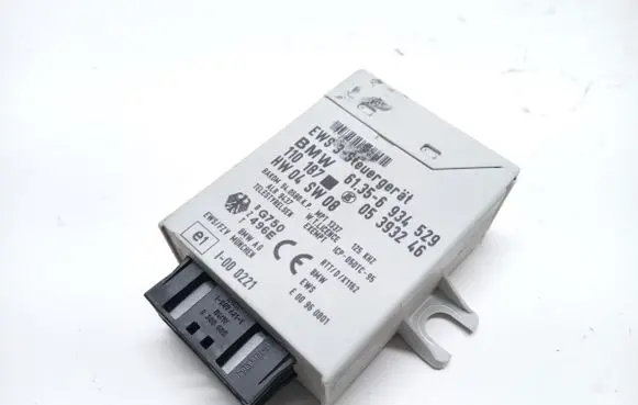 Mini Cooper Immobilizer control unit/module 6934529