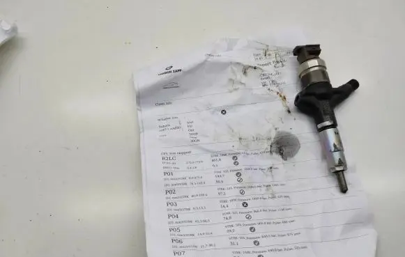 Subaru Forester SH Fuel injector 16613aa020