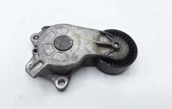 Citroen C3 Generator/alternator belt tensioner 9676854880