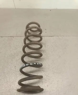 Rear coil spring