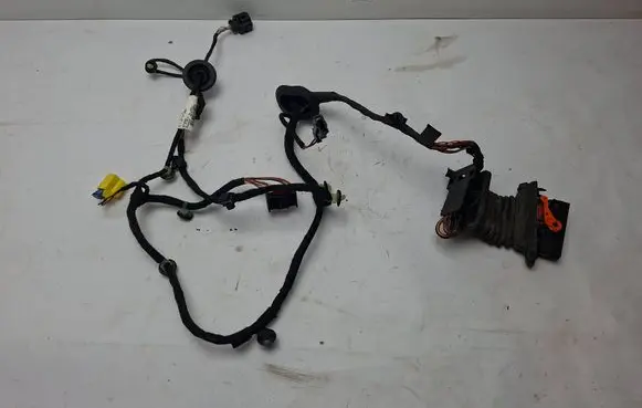 Volkswagen PASSAT B7 Front door wiring loom 3AC971121R