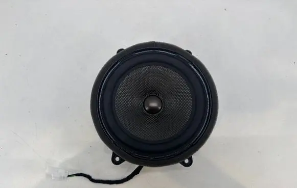 Fisker Ocean Rear door speaker FM2970300085A