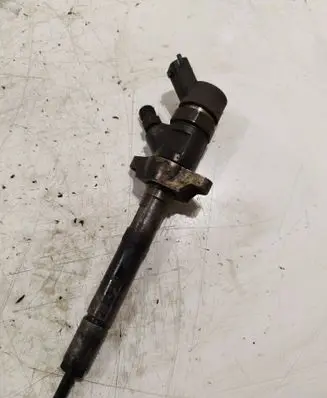 Volvo C30 Fuel injector 0445110259