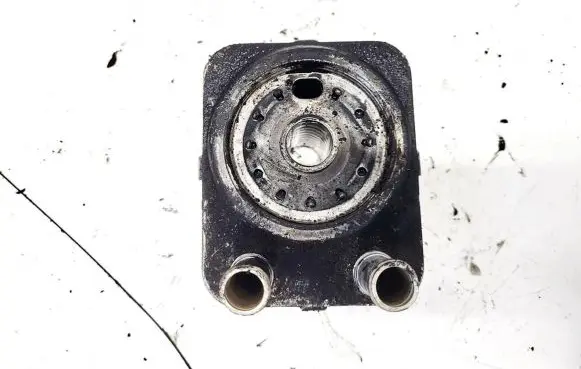 Volkswagen PASSAT B5.5 Engine oil radiator 