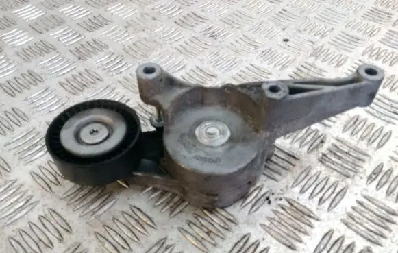 Seat Leon (1P) Alternator belt tensioner 03C903315C