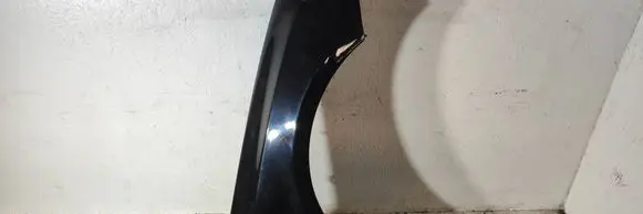 Fender