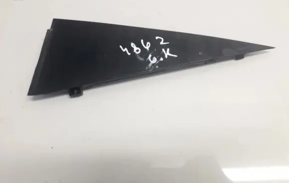 Rear/tail light trim molding