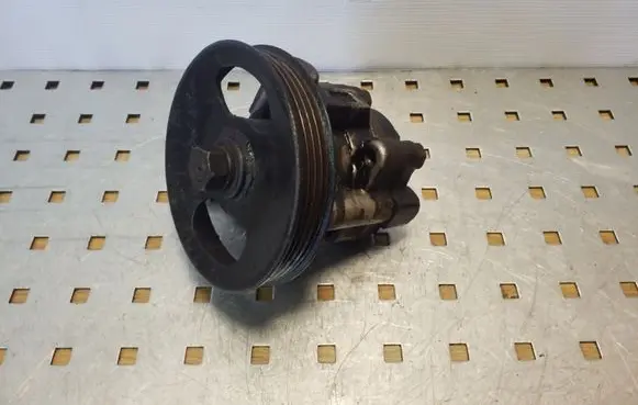 Hyundai Terracan Power steering pump