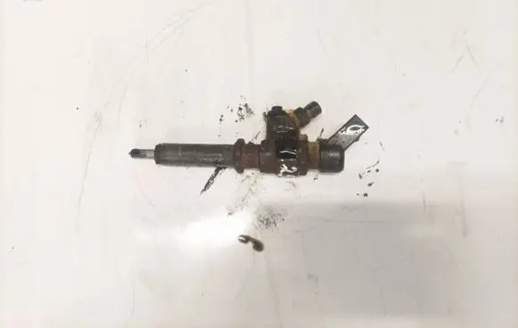 Peugeot Partner Fuel injector