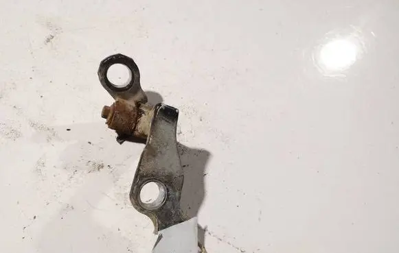 Ford Focus C-MAX Rear door lower hinge