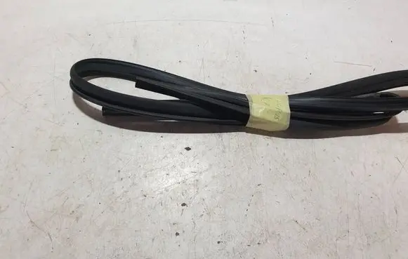 Hyundai Kona I Front door rubber seal 