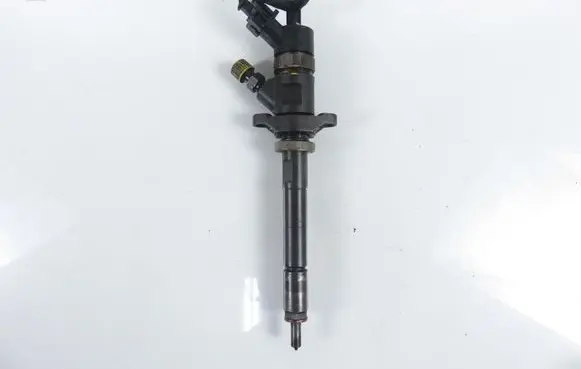Citroen C4 I Fuel injector 0445110281