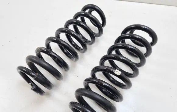 Rear coil spring