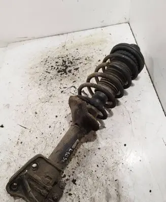 Land Rover Freelander Rear shock absorber with coil spring 22190235l