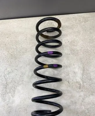 Ford C-MAX II Rear coil spring