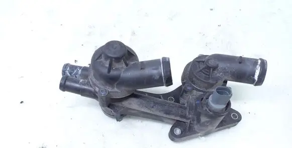 Thermostat/thermostat housing