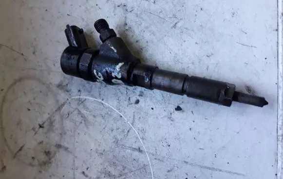 Peugeot 406 Fuel injector 0445110076