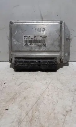 KIA Carens I Engine control unit/module 3912127310 0281011024