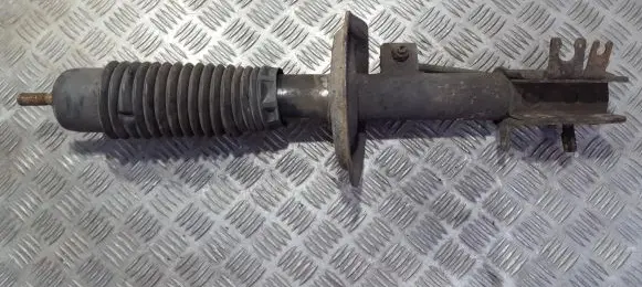 Citroen C8 Front shock absorber/damper