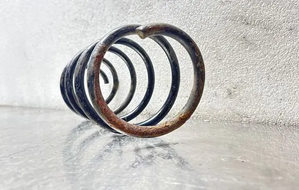 Opel Sintra Front coil spring 