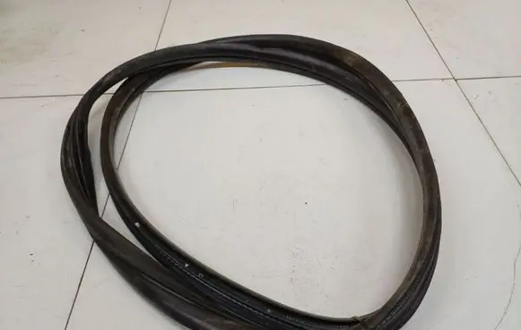 Renault Clio III Rubber seal front coupe door