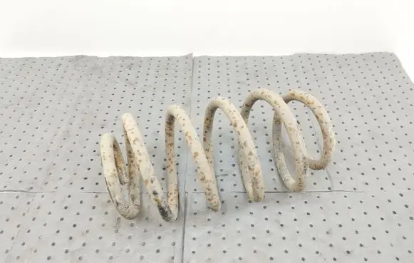 Rear coil spring
