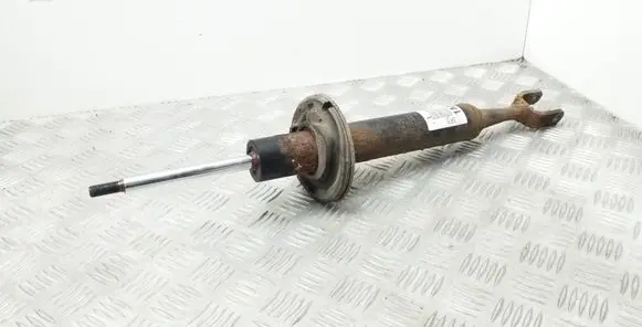 Seat Exeo (3R) Front shock absorber/damper 3R0413031