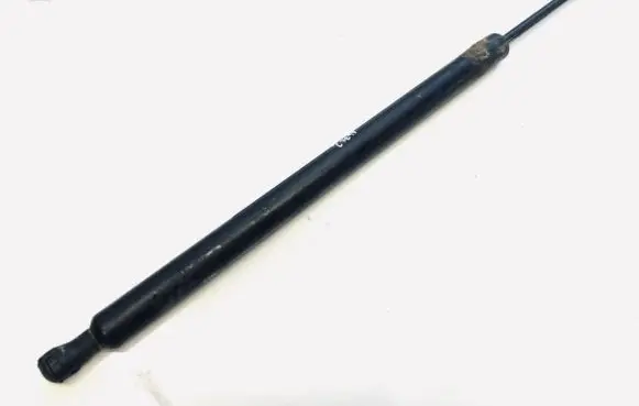 Renault Modus Tailgate/trunk strut/damper 8200219322