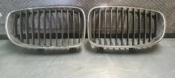 BMW 1 E81 E87 Front grill 7179656