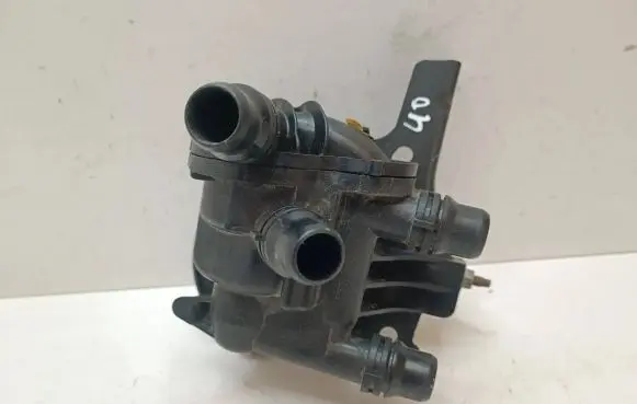 Citroen DS7 Crossback Thermostat 9822406080