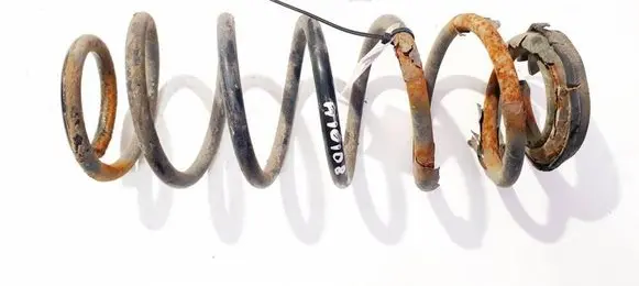 Rear coil spring