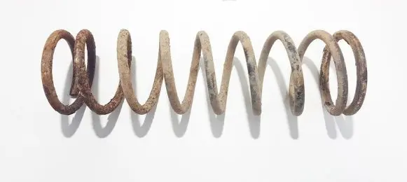 Rear coil spring