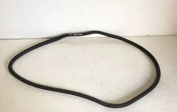Citroen C4 Cactus Rear door rubber seal (on body) USZCZELKATLCCCA