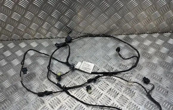 Volkswagen Tiguan Parking sensor (PDC) wiring loom 5N0971095 TAB016604