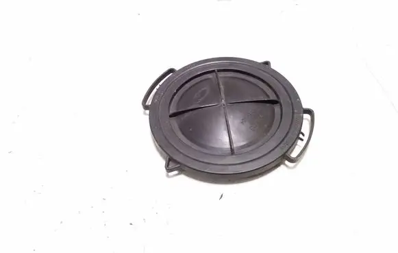 Audi Q3 F3 Headlight/headlamp dust cover 