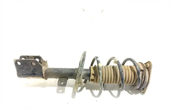 Citroen Berlingo Front shock absorber with coil spring