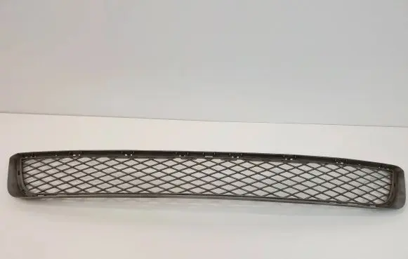 Front bumper lower grill