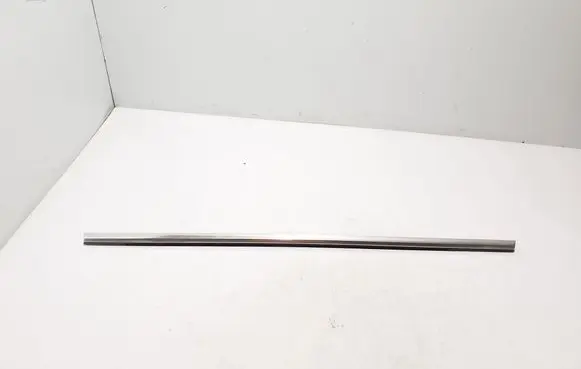 Rear door trim (molding)