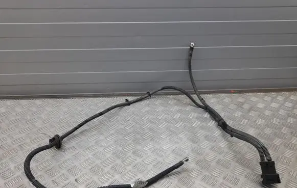 Audi Q5 SQ5 Other wiring loom 8R1971111